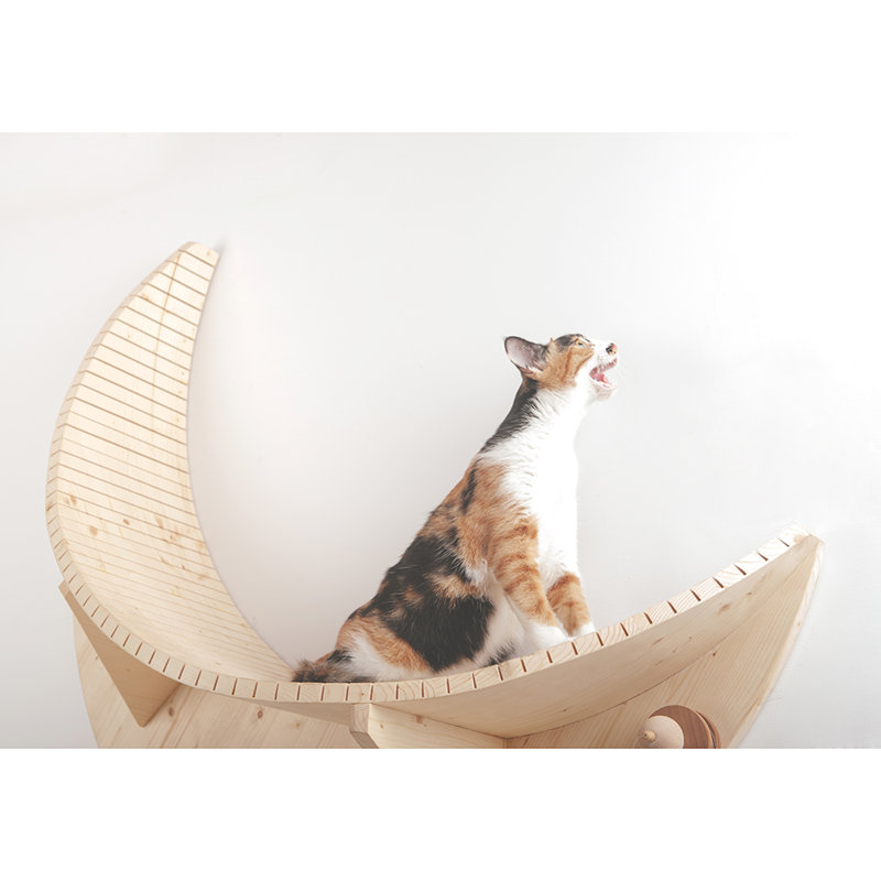 Myzoo Luna Crescent Moon Shape Wall Mounted Cat Bed Wayfair